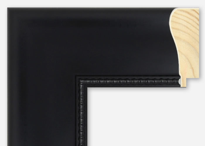 Custom Frame CFSZ0420