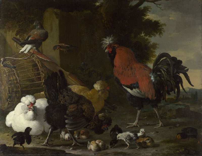 A Cock Hens and Chicks