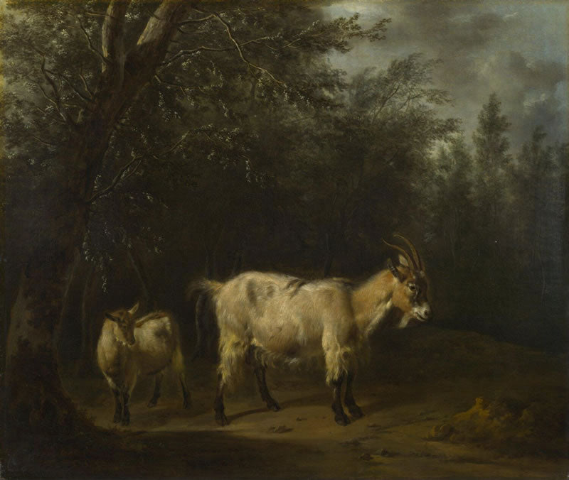 A Goat and a Kid