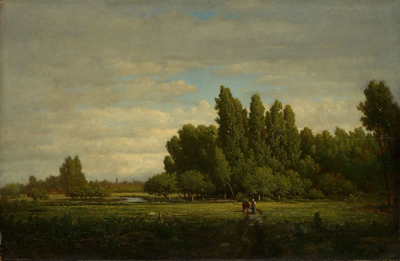 A Meadow Bordered by Trees