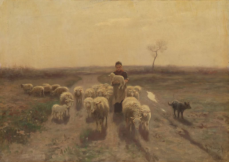 A Shepherdess and Her Flock