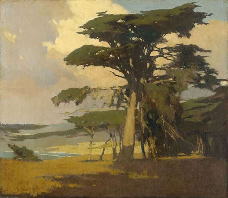 Afternoon among the Cypress