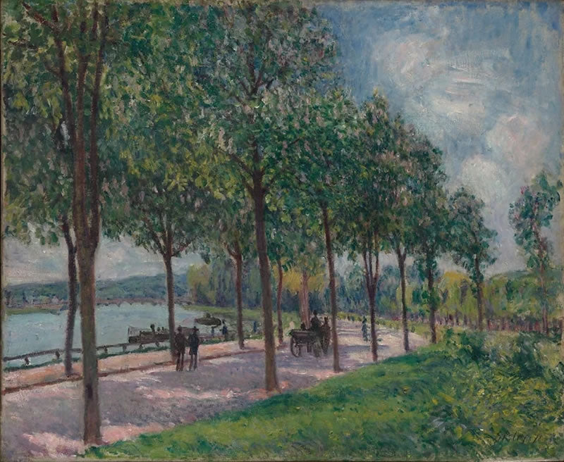 Allée of Chestnut Trees