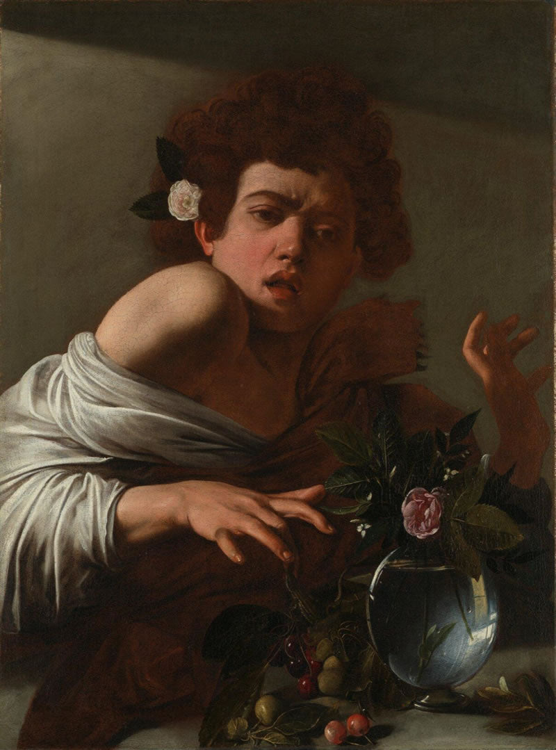 Boy bitten by a Lizard