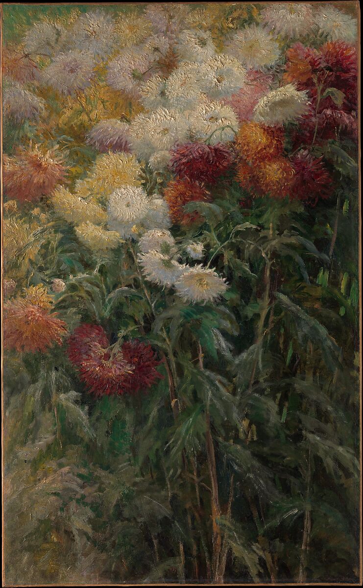Chrysanthemums in the Garden at Petit-Gennevilliers