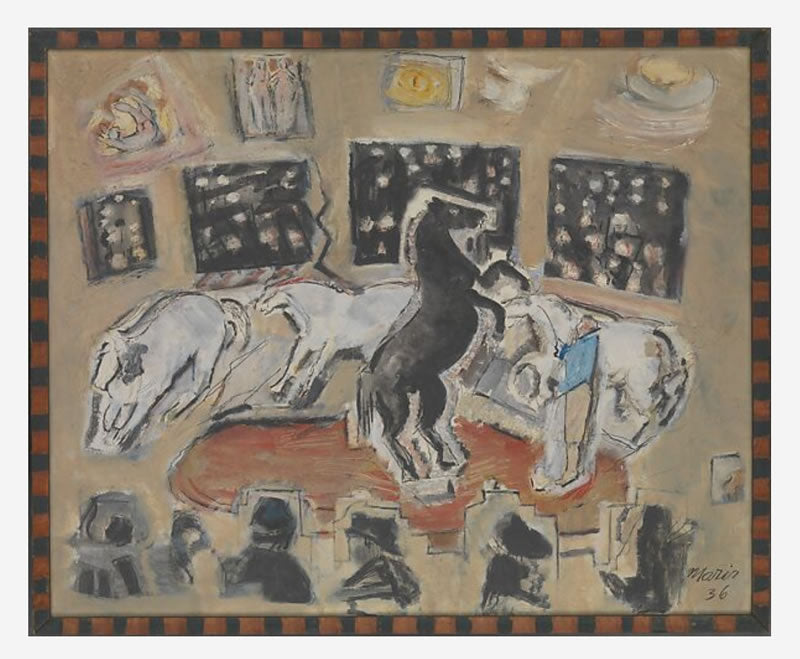 Circus Horses