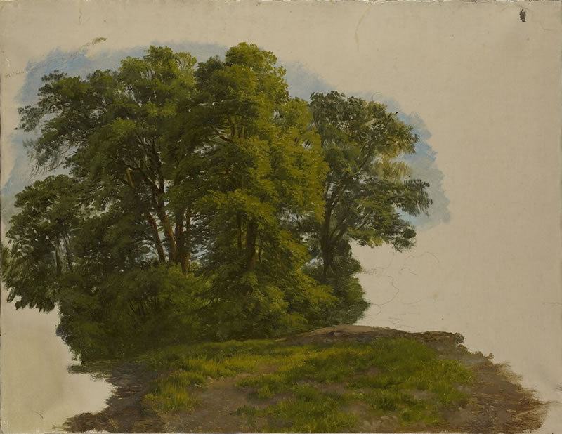 Cluster of Trees