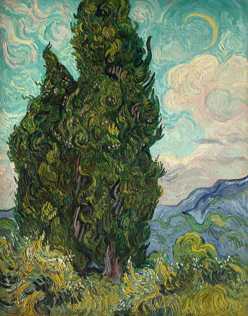 Cypresses