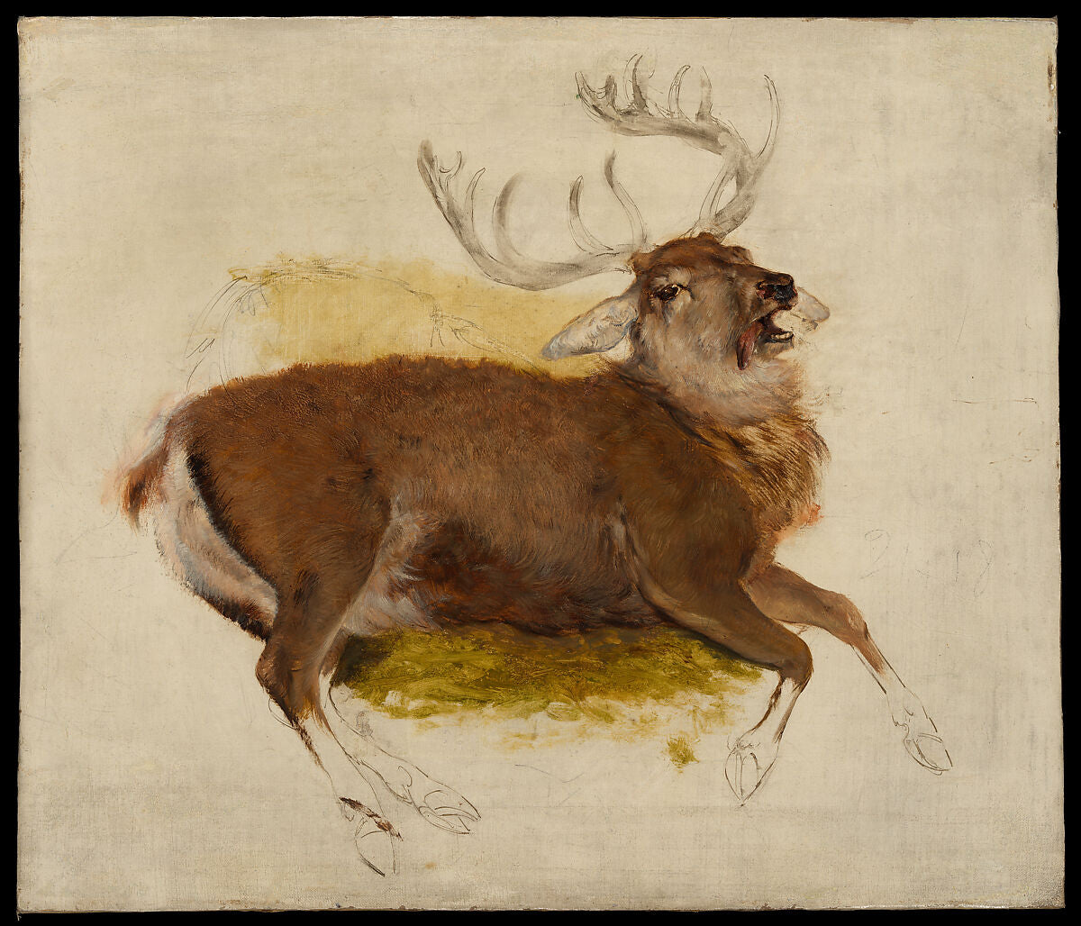 Dying Stag