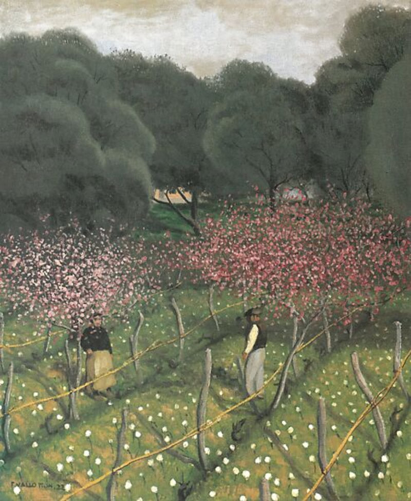 Flowering Peach Trees, Provence
