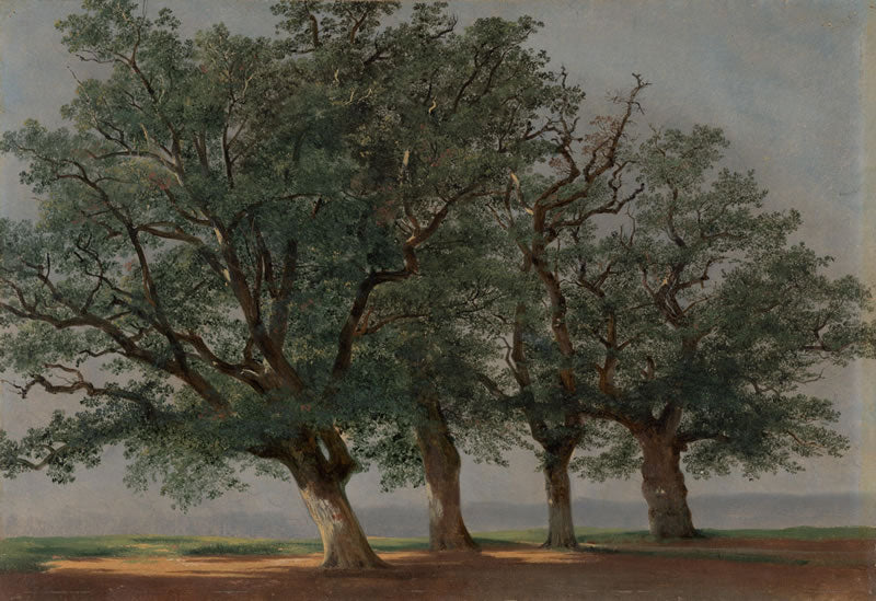 Four Large Trees