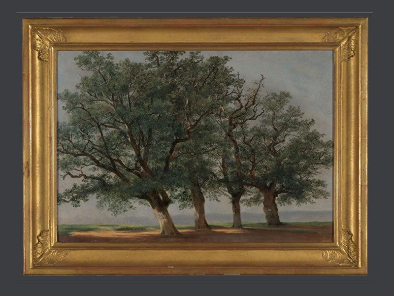 Four Large Trees