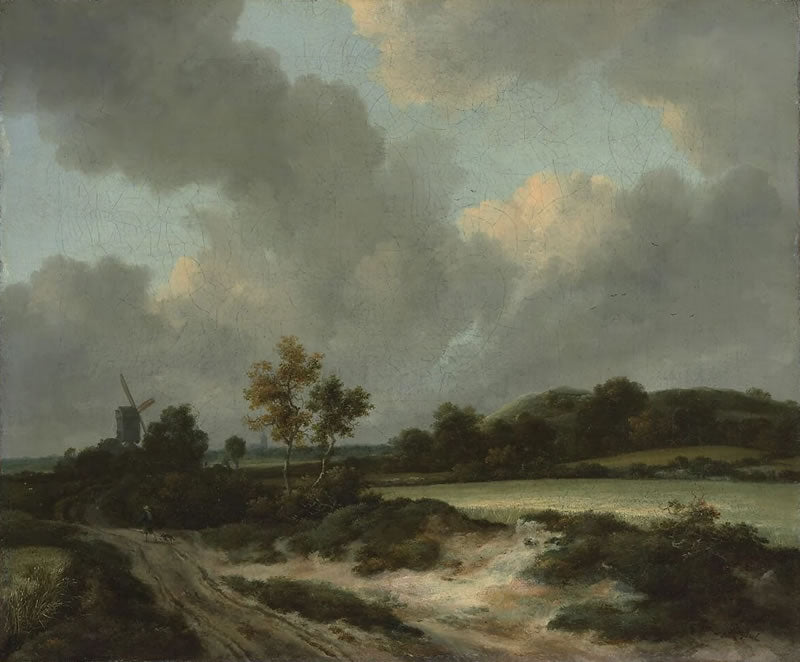 Grainfields