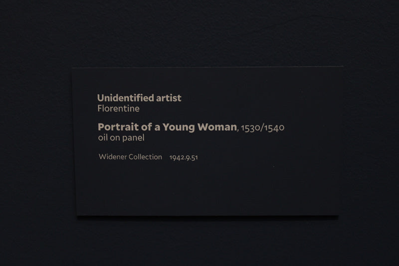 Portrait of a Young Woman