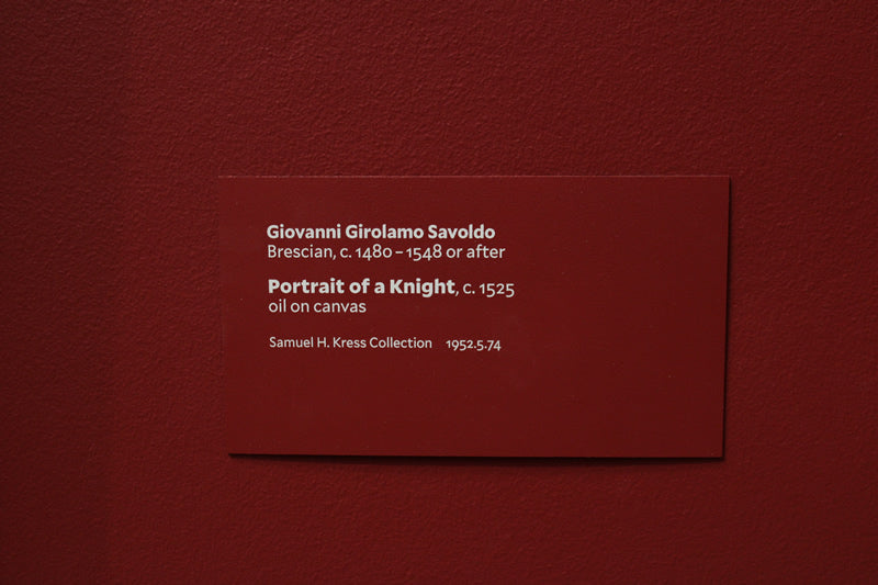 Portrait of a Knight