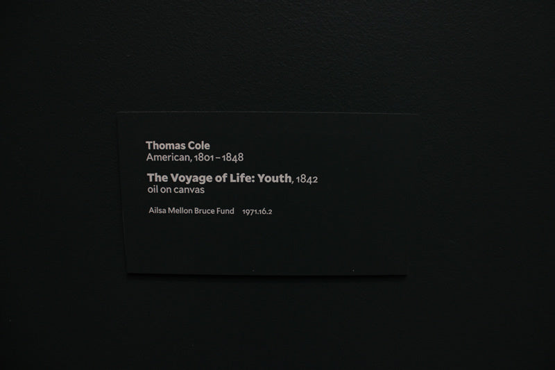 The Voyage of Life: Youth