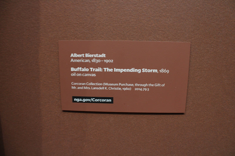 Buffalo Trail: The Impending Storm