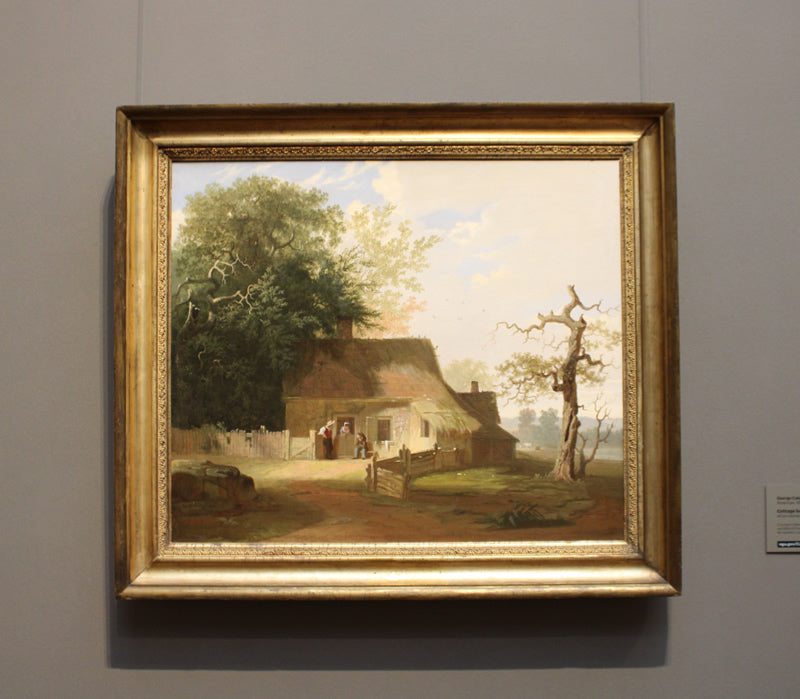 Cottage Scenery