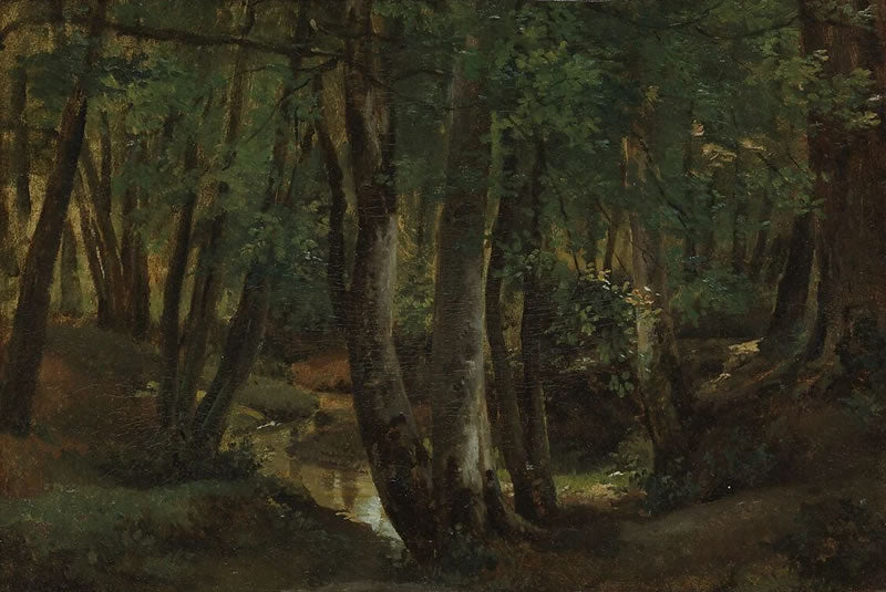 Interior of a Wood at Pierrefitte