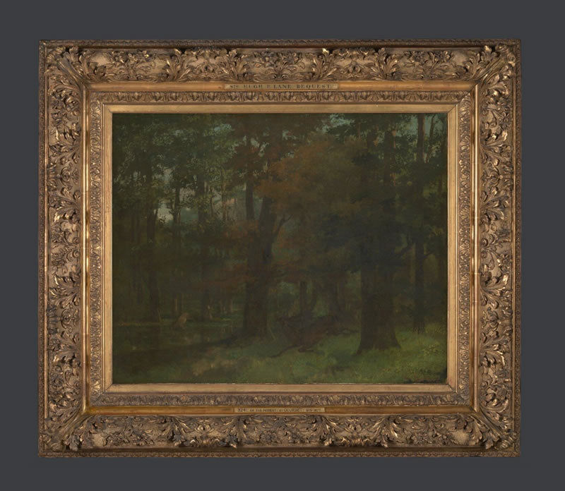 In the Forest
