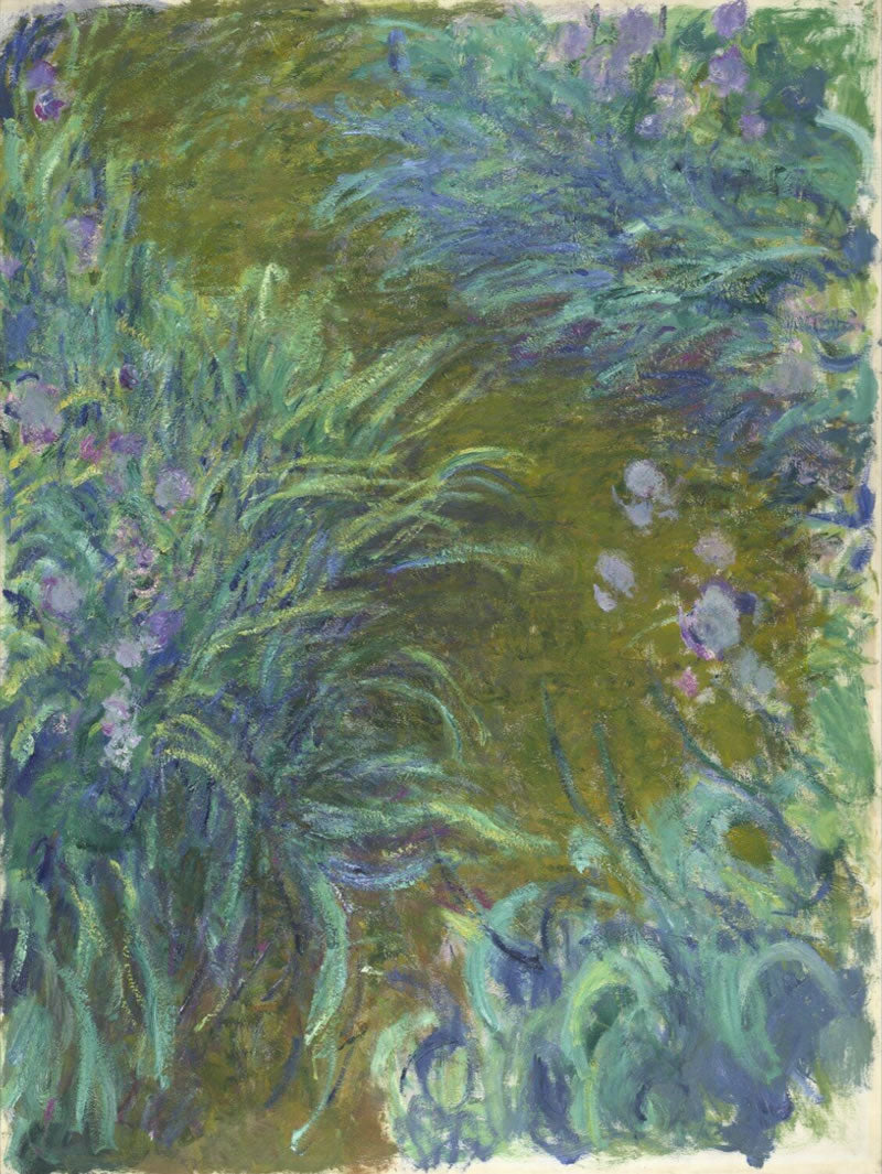 Irises