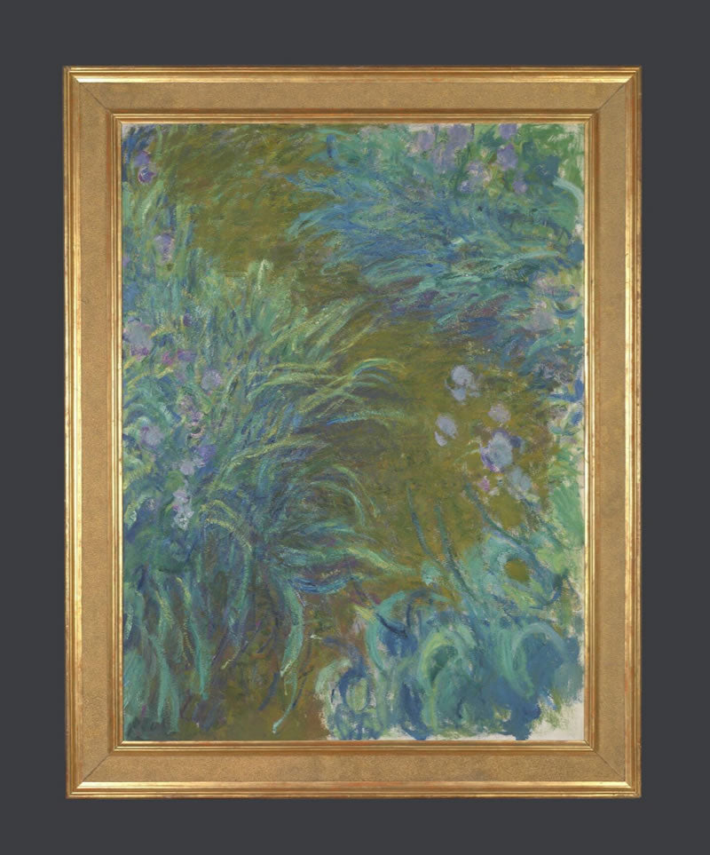 Irises