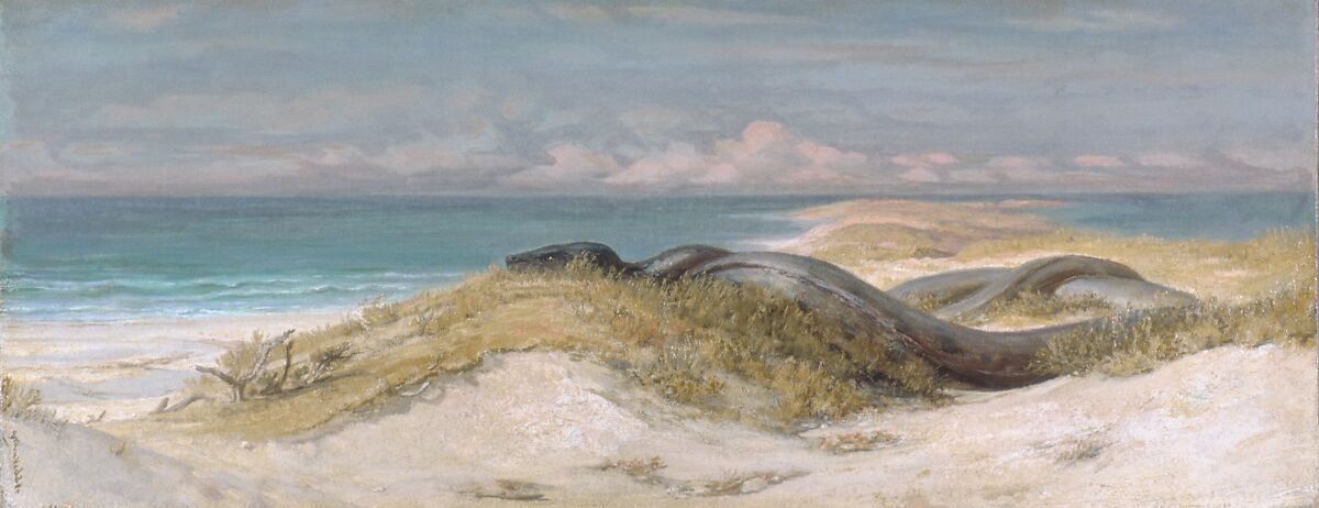 Lair of the Sea Serpent