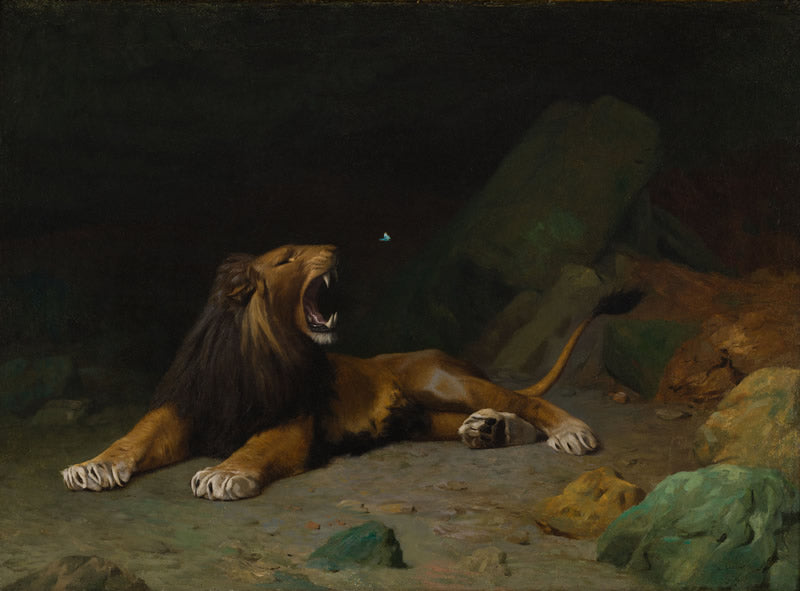 Lion Snapping at a Butterfly