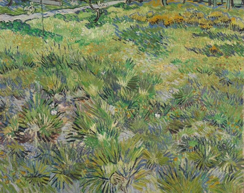 Long Grass with Butterflies