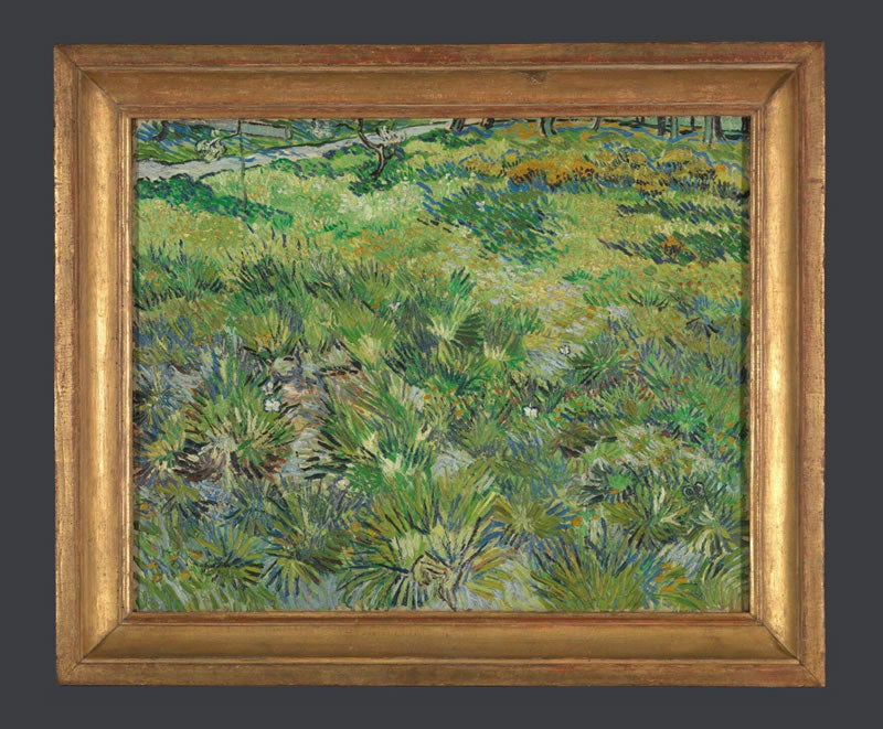 Long Grass with Butterflies