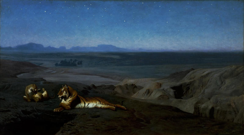 Night in the Desert