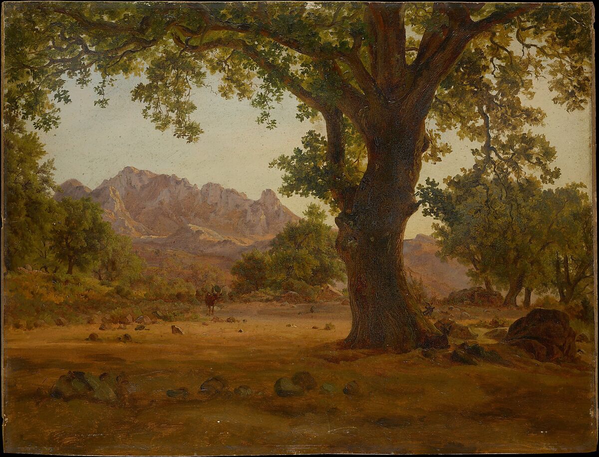 Oak Tree in a Mountainous Landscape