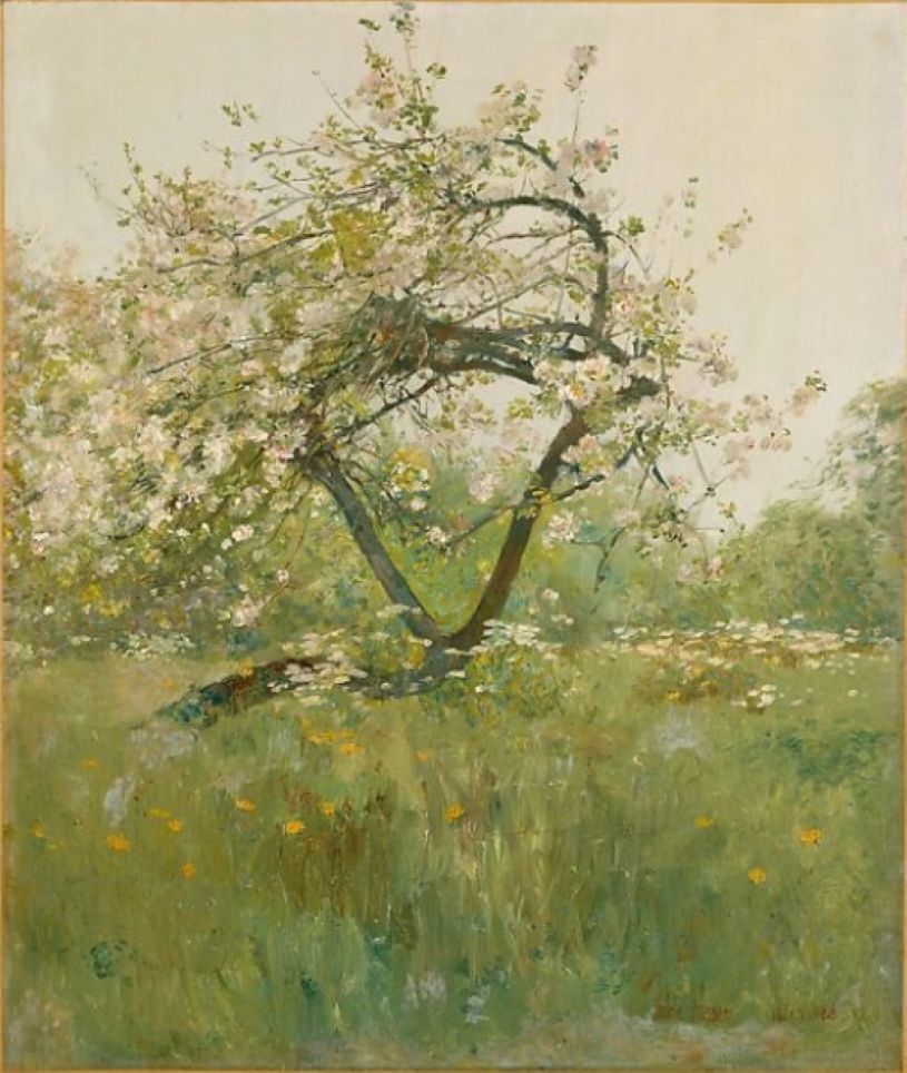 Peach Blossoms—Villiers-le-Bel