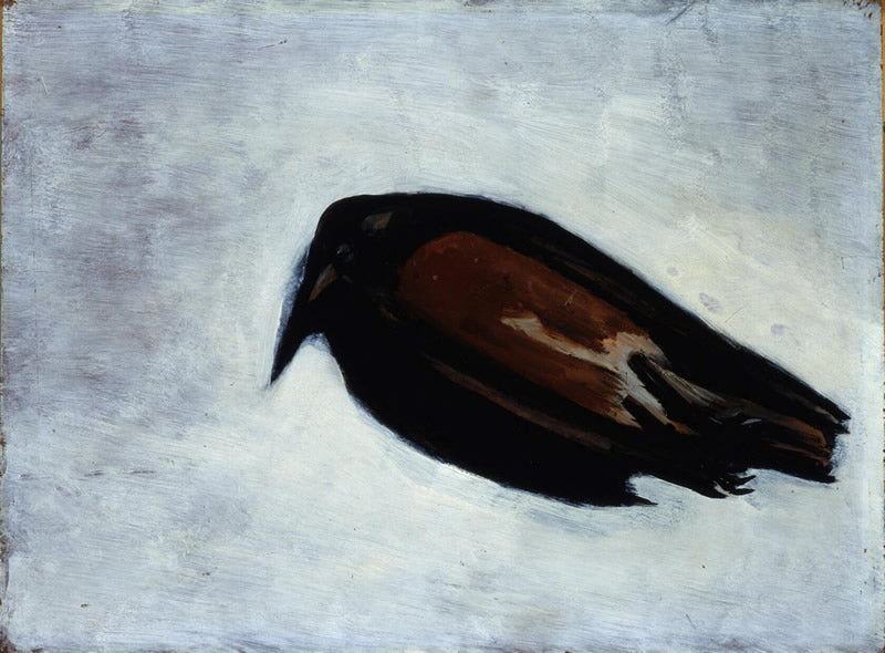 Robin