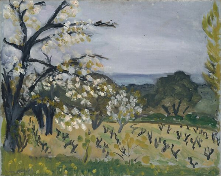 Landscape, Nice