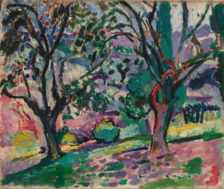 Olive Trees at Collioure