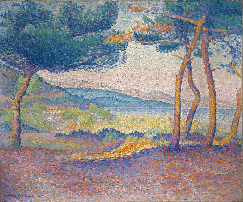 Pines Along the Shore
