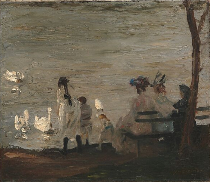Swans in Central Park