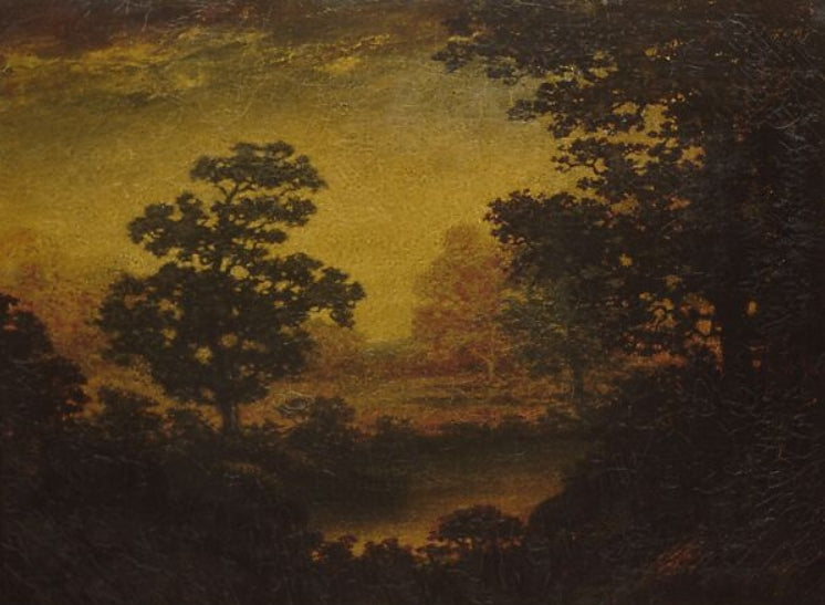 Woodland Vista