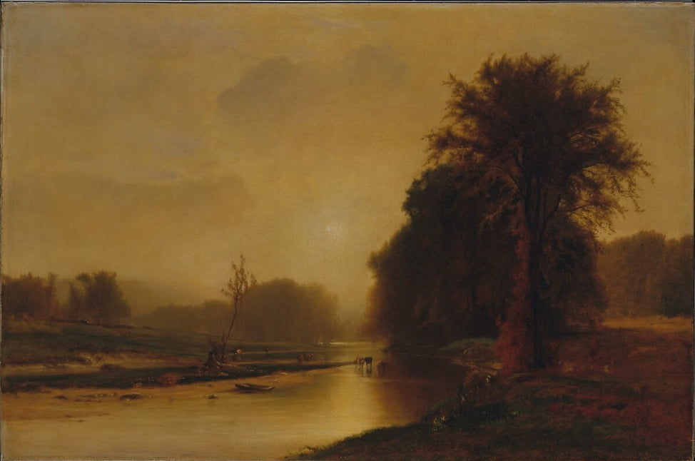 Autumn Meadows