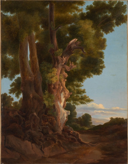 Blasted Tree
