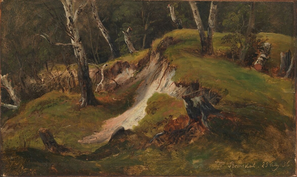 Escarpment with Tree Stumps, Romsdal