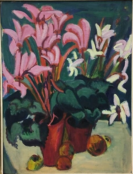 Cyclamen