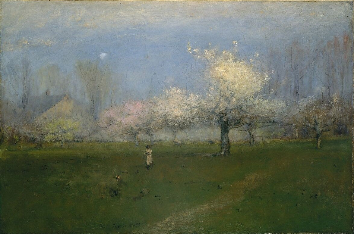 Spring Blossoms, Montclair, New Jersey