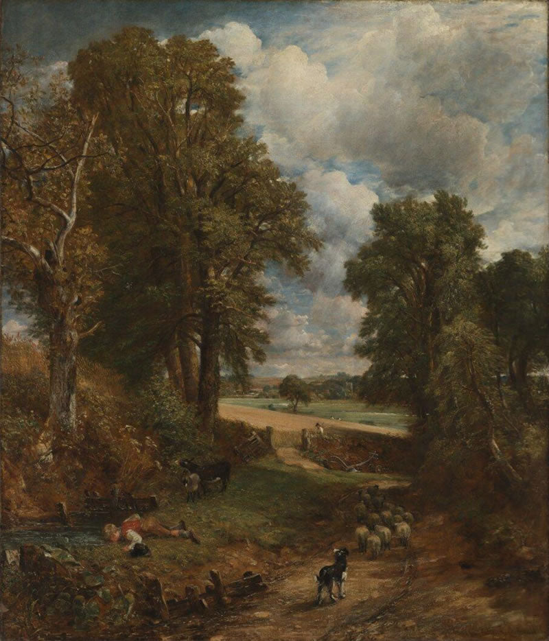 The Cornfield