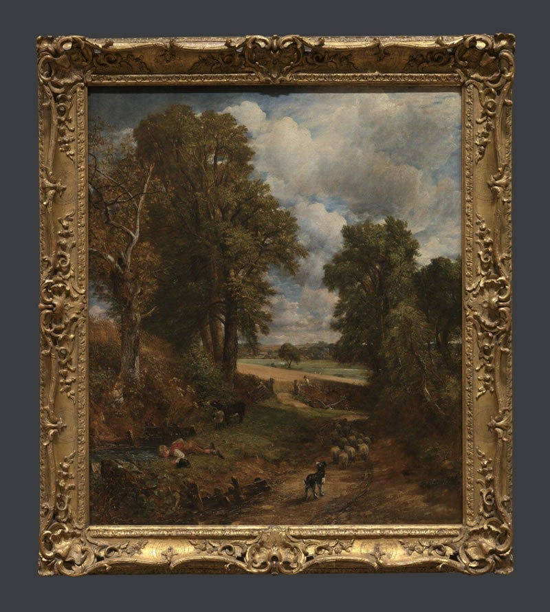 The Cornfield