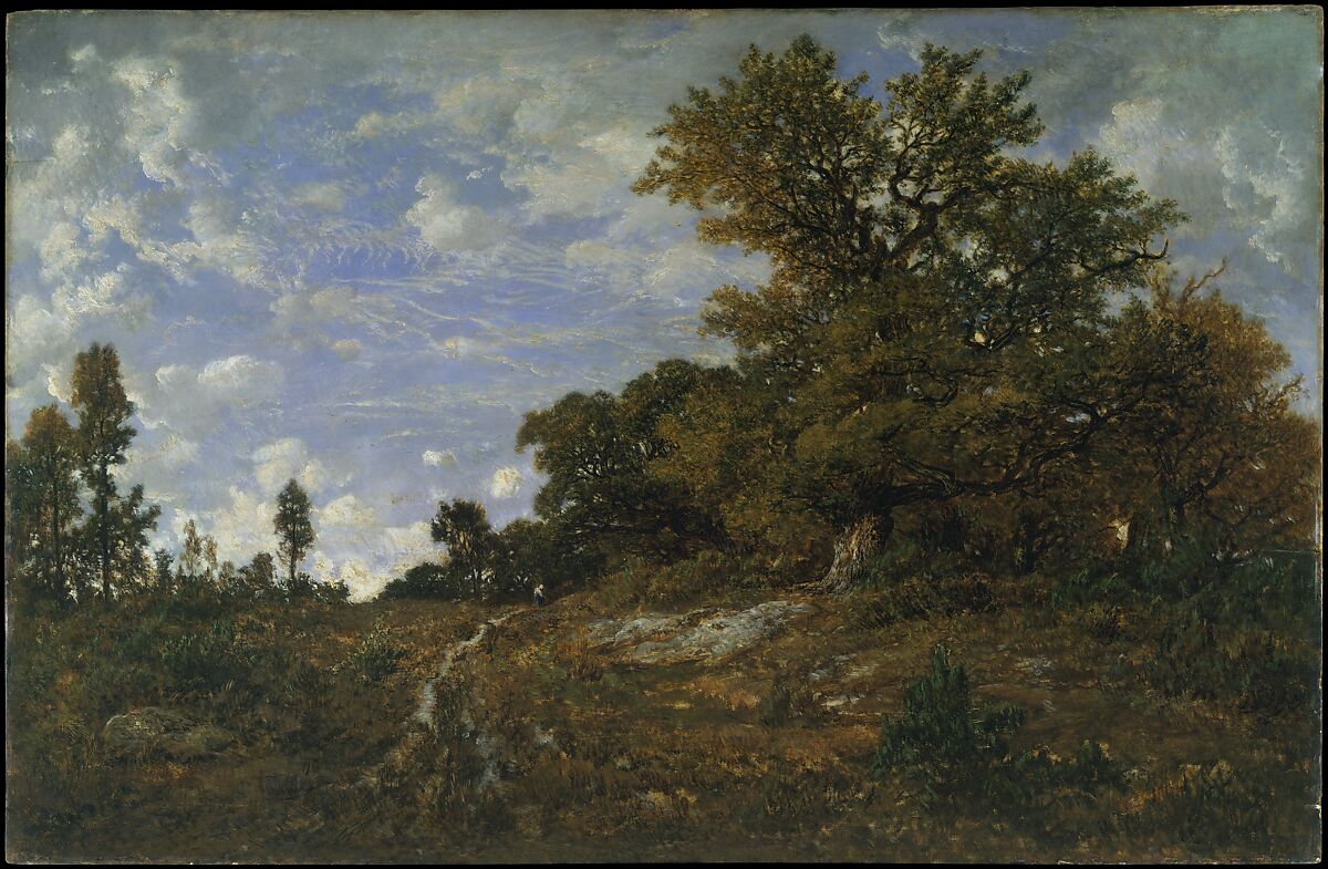 The Edge of the Woods