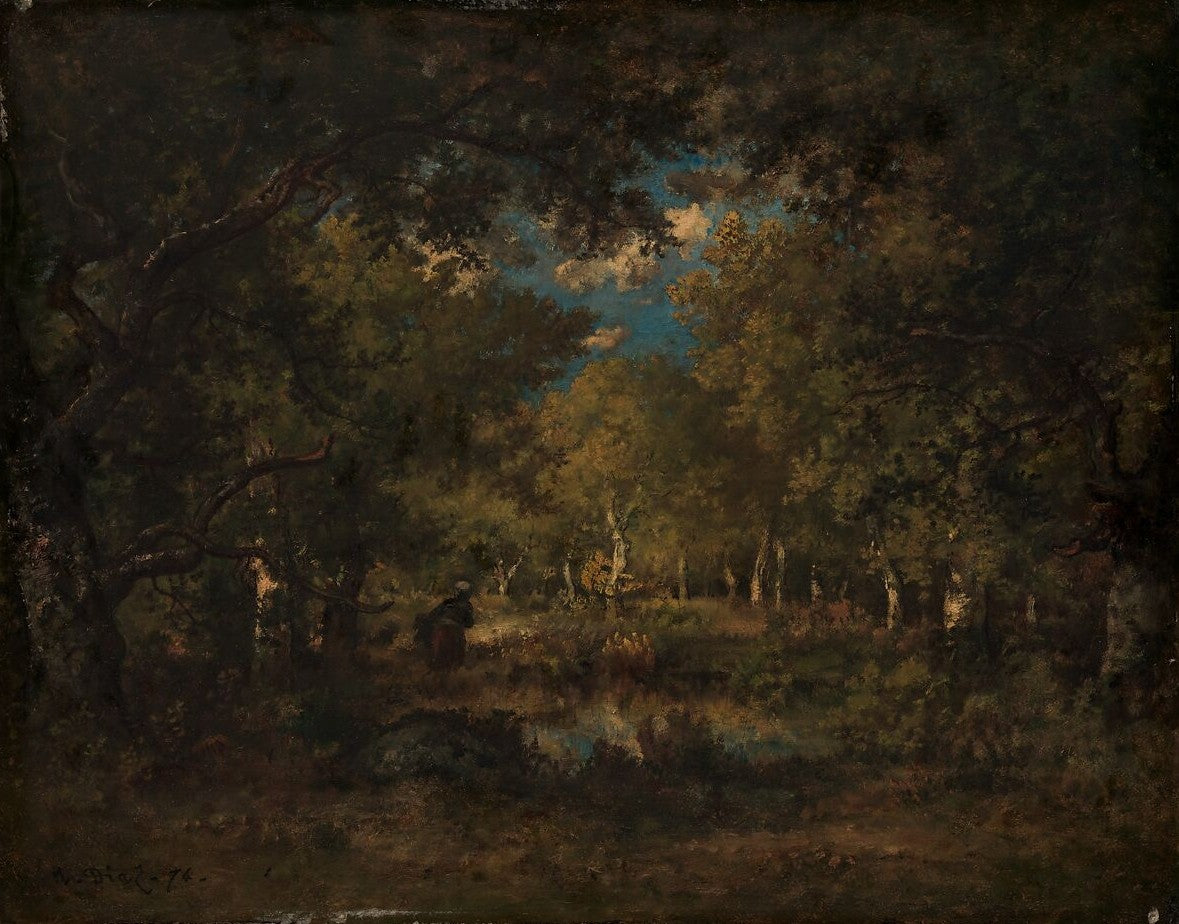 The Forest of Fontainebleau