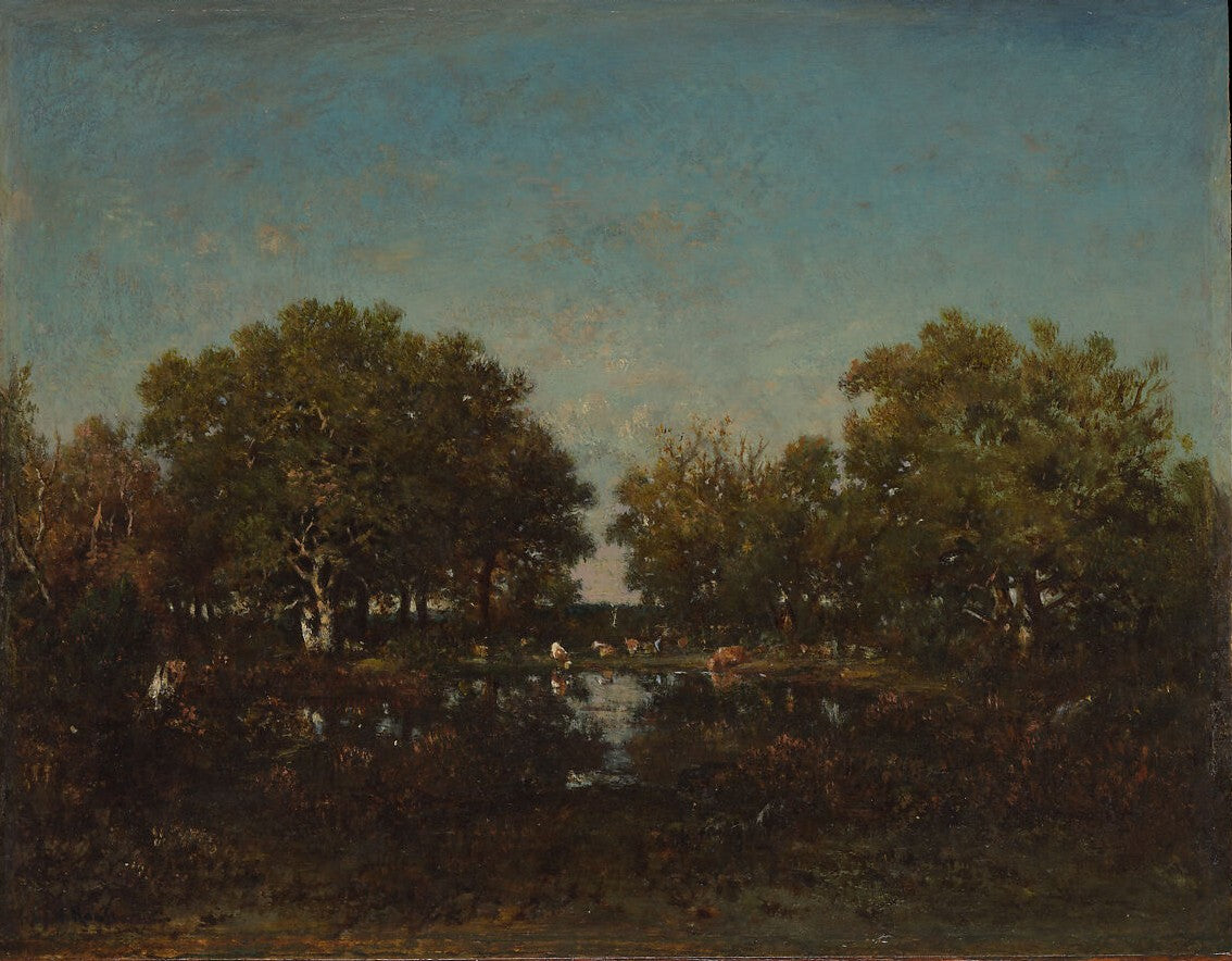 The Pool (Memory of the Forest of Chambord)