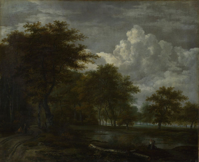 The Skirts of a Forest